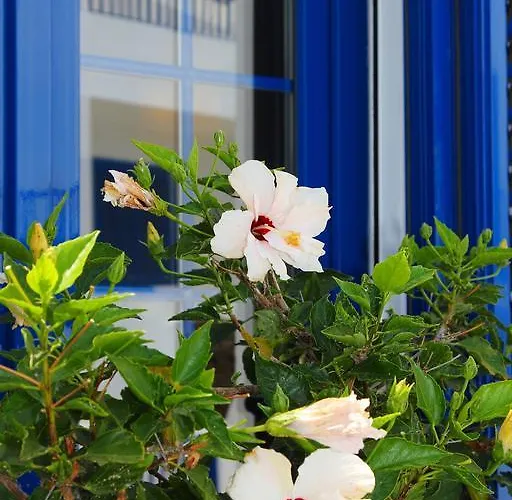 Station touristique Casitas Del Mar Lanzarote Island